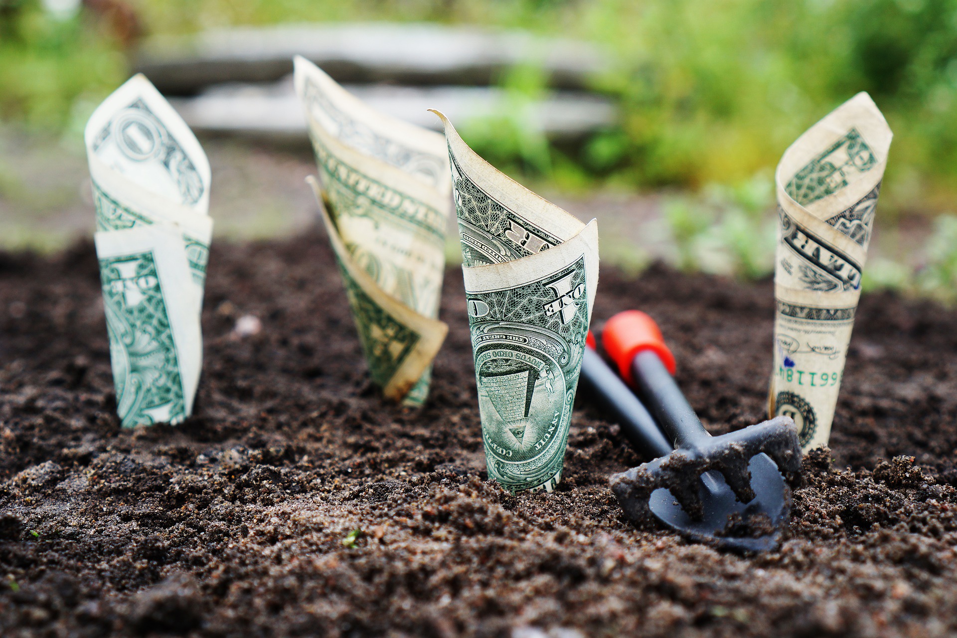 Quels sont les principaux avantages d’investir dans des actions