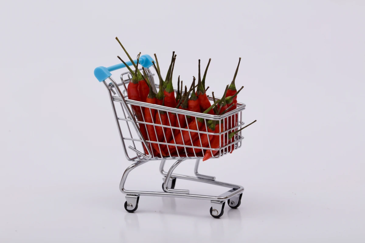 Stratégies de pricing gagnantes pour start-ups B2C